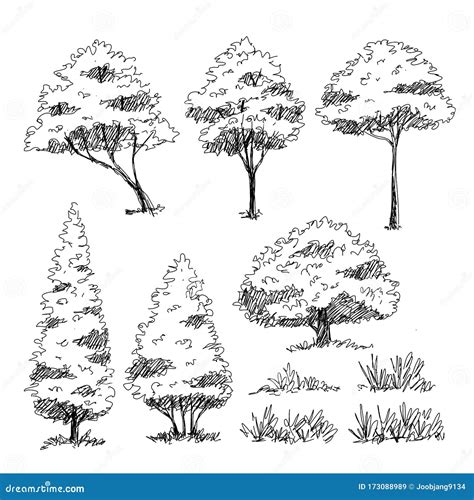 tree sketch  stock vector illustration  contour
