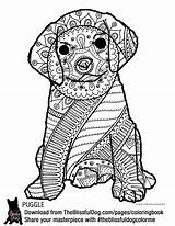 Coloring Snuggles Puppy Dream Pages Dog Books Adult Book sketch template