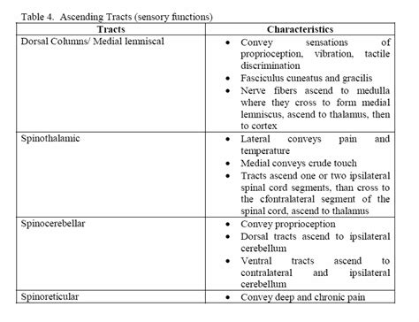 spinal tracts table table 4 ascending tracts sensory