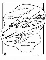 Alligator Crocodile Krokodil Crocodiles Alligators Popular Coloriages Coloringhome Animaljr sketch template