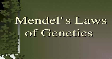 Mendels Laws Of Genetics Mendels Laws Of Genetics [ppt Powerpoint]
