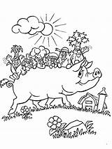 Pig Coloring Pages Potbellied Color Animals Animal Print Back sketch template