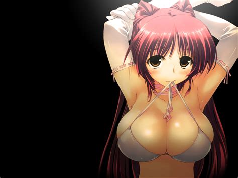 hentai busty boobs tits desktop 2257x1693 hd wallpaper