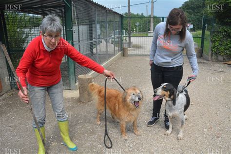 deposer  chien  la spa chien nouvelles