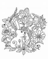 Coloring Rabbit Pages Forest Animals Book Bird Bunny Flowers Printable Rabbits Brilliant Dot Kids Holding Carrot Birijus sketch template