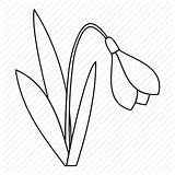 Snowdrop Outline Flower Line Spring Plant Bell Drawing Icon Getdrawings Iconfinder sketch template