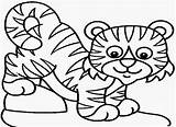 Tiger Coloring Baby Pages Outline Tigers Drawing Kids Color Clipart Printable Popular Coloringhome Getdrawings Library sketch template