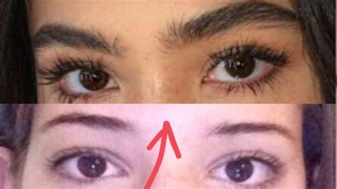 Ways To Grow Thicker Eyebrows Eyebrow Poster