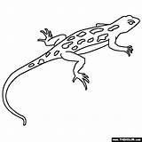 Lizard Coloring Pages Printable Color Pets Lizards Animal Kids Online Animals Books Thecolor Book Clip Print Related Posts Choose Board sketch template