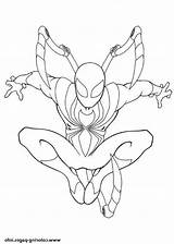 Spider Spiderman Coloriage Suit Colo sketch template