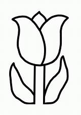 Bloemen Kleurplaten Lente Tulpen Peuters Bloem Tekenen Tulp Pasen Tulip Knutselen Tekening Voorjaar Bezoeken Afkomstig Uitprinten Downloaden sketch template