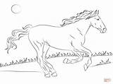 Coloring Horse Mustang Pages Beautiful Printable Games Supercoloring sketch template