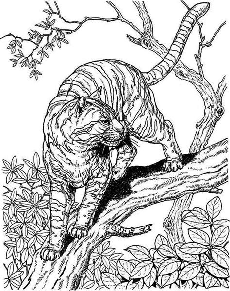 leopard coloring pages printable  coloringfoldercom cat