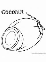 Coconut Coloring Pages Printable Colouring Fruit Choose Board Color Onlinecoloringpages sketch template