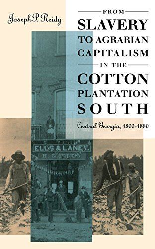From Slavery To Agrarian Capitalism In The Cotton