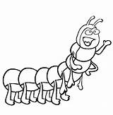 Coloring Pages Centipede Summer Animals Enjoy Kids Caterpillar Animal Hungry Cute Sheets sketch template