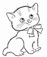 Kitten Coloring Pages Baby Printable Color Getcolorings Col Print sketch template