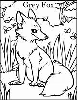Coloring Wolf Pages Fox Grey Printable Kids Coloringpage Deviantart sketch template
