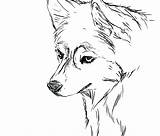 Huskies Husky sketch template