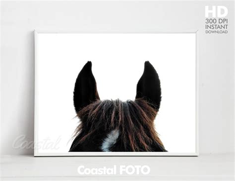 horse ears print printable wall art large horse photo etsy