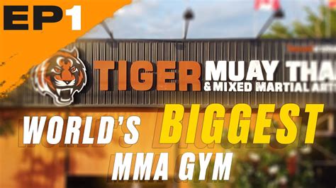 world s biggest mma gym tiger muay thai ep 1 first day in phuket