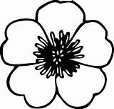 Flower Coloring Pages Clip Simple Flowers Buttercup Printable Print Cartoon Getcoloringpages Big sketch template