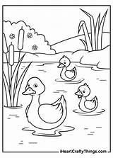 Duck Iheartcraftythings Printable Ducks Ducklings sketch template