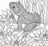 Paradise Coloring Pages Tropical Color Getdrawings Adult Getcolorings sketch template