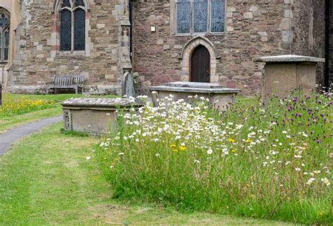 Churches Launch Nature Count To Assess Biodiversity Within “national