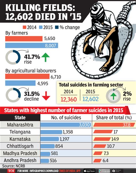Infographic Farmer Suicides Up 42 In 2015 Times Of India