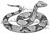 Coloring Snake Copperhead Large sketch template