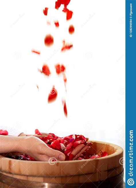 female hands  spa treatments stock photo image  handcare