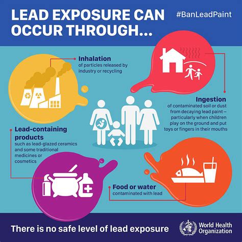 main routes  lead exposure  health effects arbr