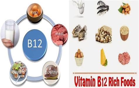 The Importance Of Vitamin B12 And The Richest Foods With It B12 Rich