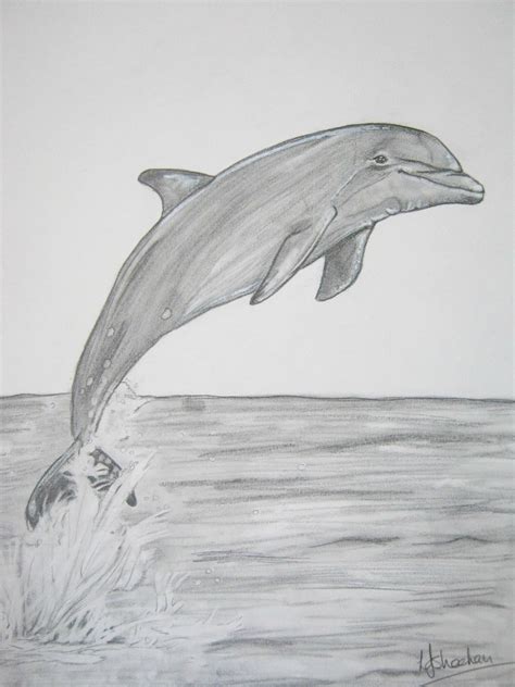dolphin  graphite easy pencil drawings delfines como dibujar cosas