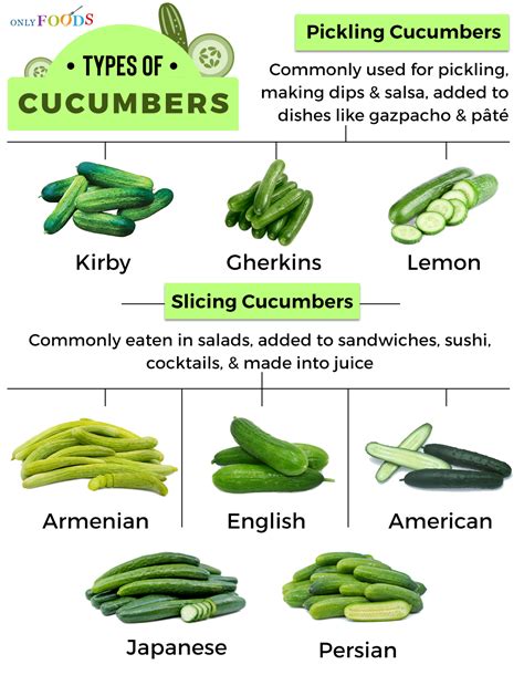 types  cucumbers