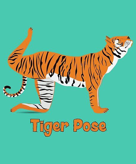 animal yoga tiger pose posters  ajparker redbubble