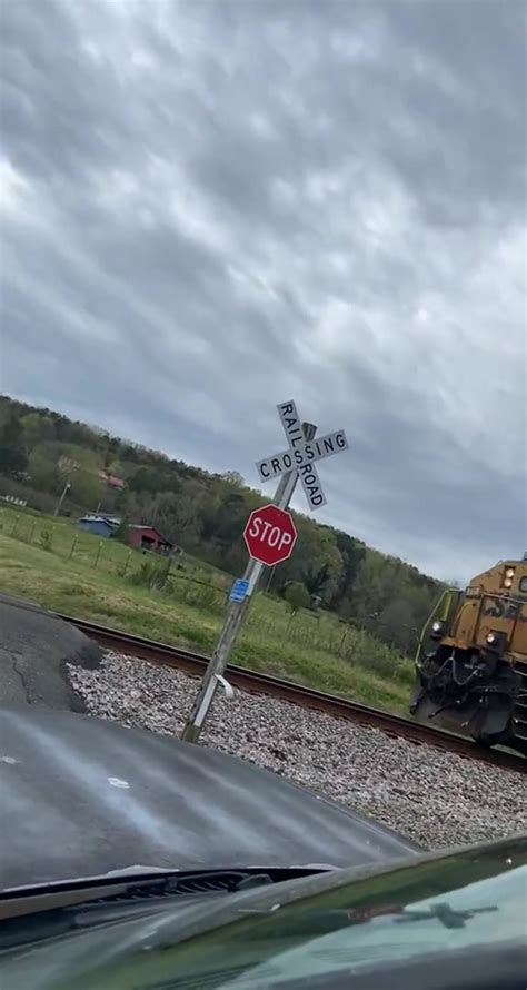 dumpert positieve toeter  de trein