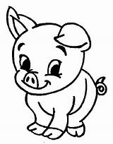 Pig Coloring Pages Animal Cute Printable Drawing Animals Baby Sheets Colouring Kids Kid sketch template
