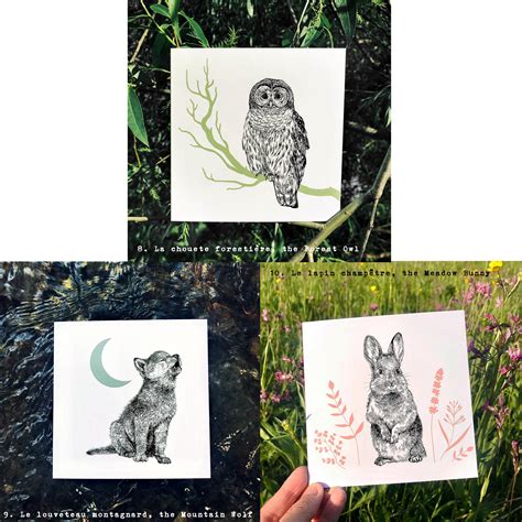 set    greeting cards nature inspired watercolor etsy