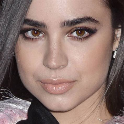 sofia carson makeup black eyeshadow taupe eyeshadow and nude lipstick steal her style