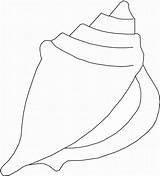 Template Shell Seashell Shells Coloring Pages Sea Printable Clipart Clip Outline Beach Conch Drawing Easy Seashells Shotgun Templates Ocean Clipartbest sketch template