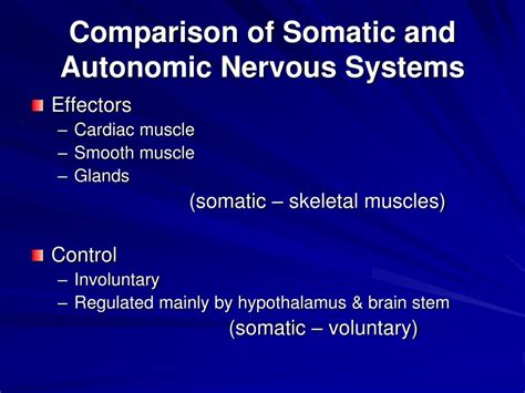 ppt chapter 11 autonomic nervous system powerpoint