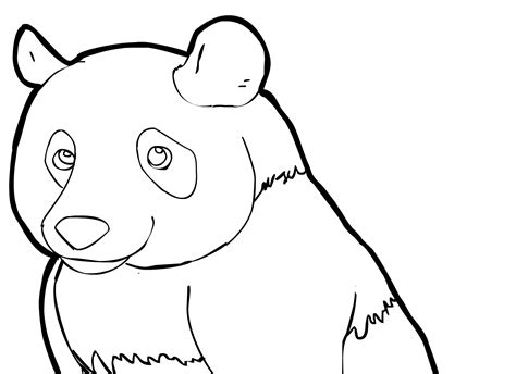 panda coloring pages images animal place