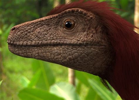 pyroraptor pictures facts  dinosaur