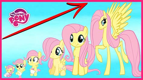 pony main characters
