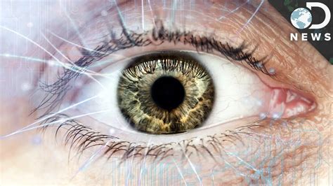 evolution   human eye science facts