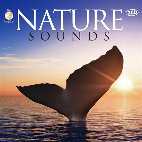 nature sounds amazoncouk