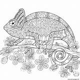 Mandala Chameleon Coloring Pages Printable sketch template