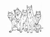 Coloring Wolf Drawing Family Pack Pages Anime Printable Template Realistic Templates Wolves Print Drawings Animal Unknown Werewolf sketch template